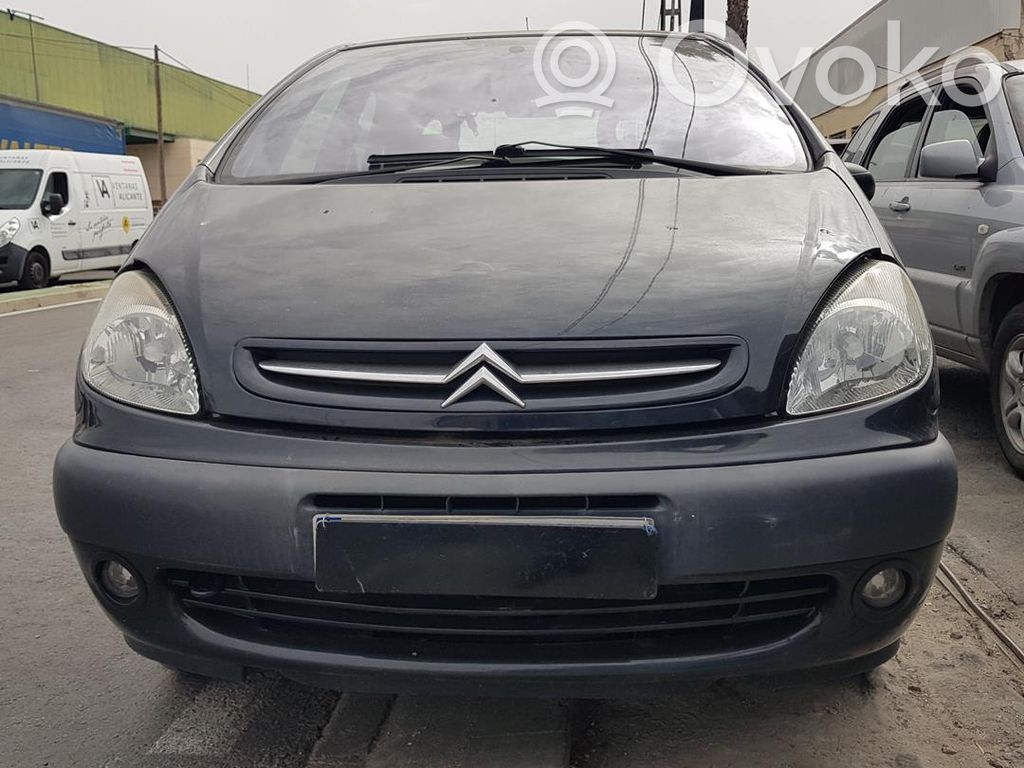 Xsara Xsara, Xsara Picasso  216466540