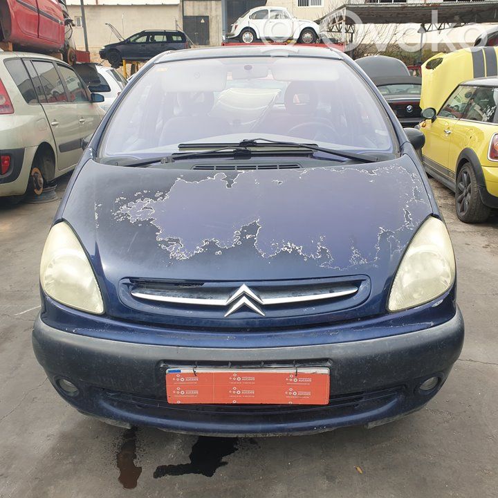 Xsara Xsara, Xsara Picasso