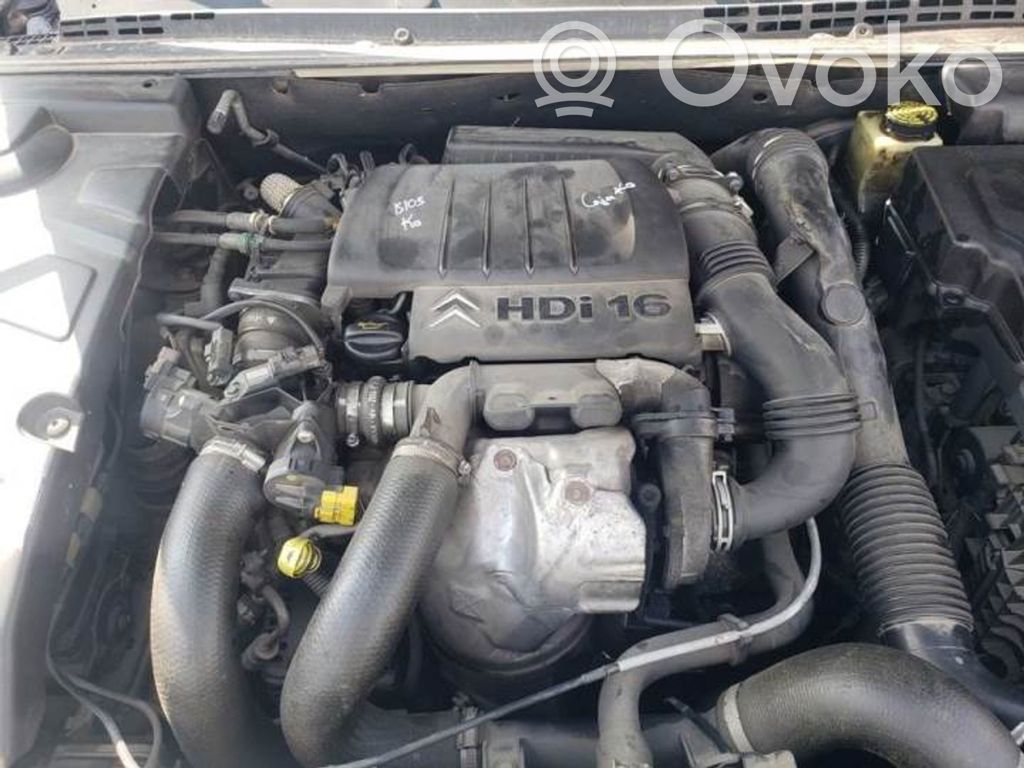 C5 C5, C5 Aircross  102477704