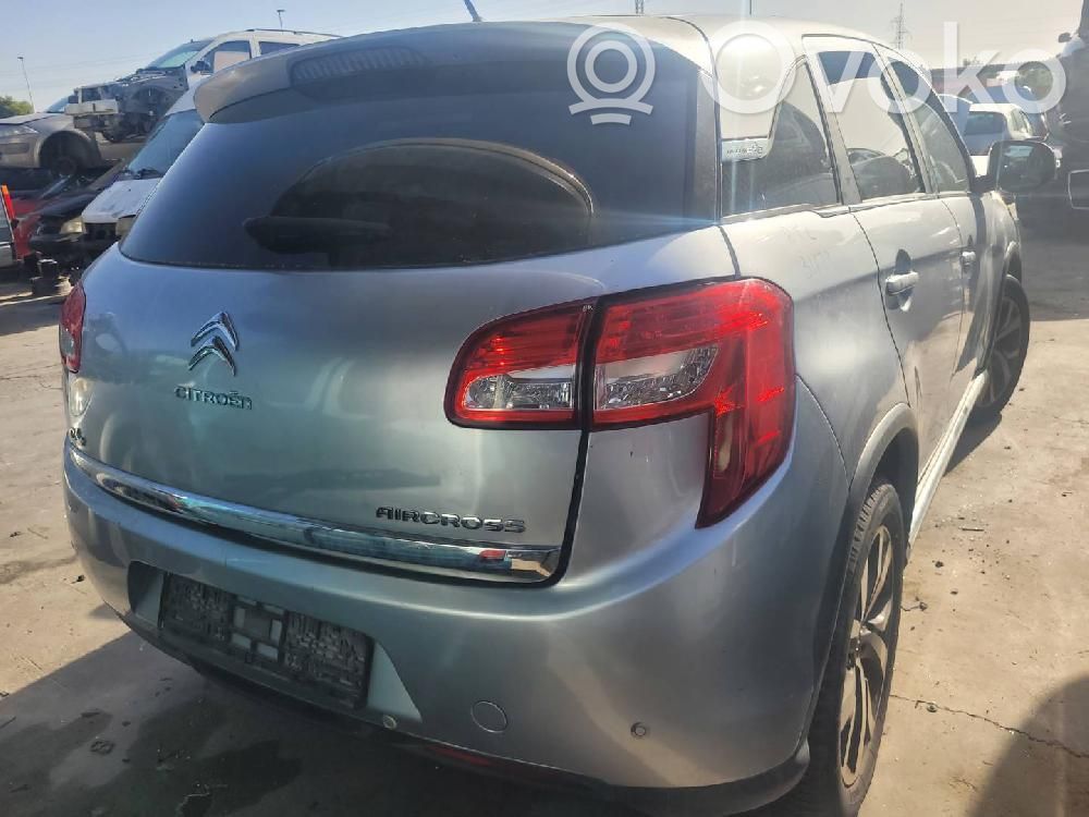 C4 Aircross C4 Picasso, Grand Picasso, Aircross, Cactus  8002A920XB