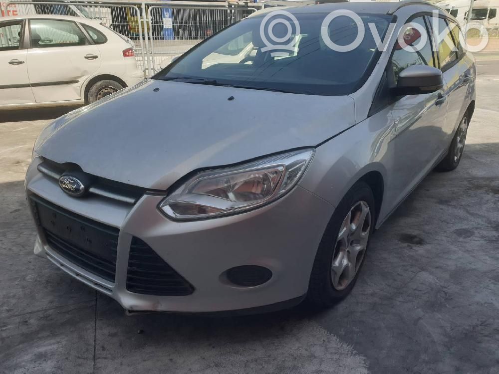Focus Focus  AV619C623CB
