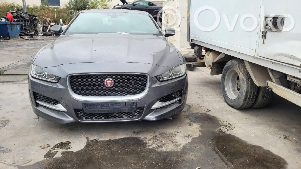 XE XE  MF1163602671