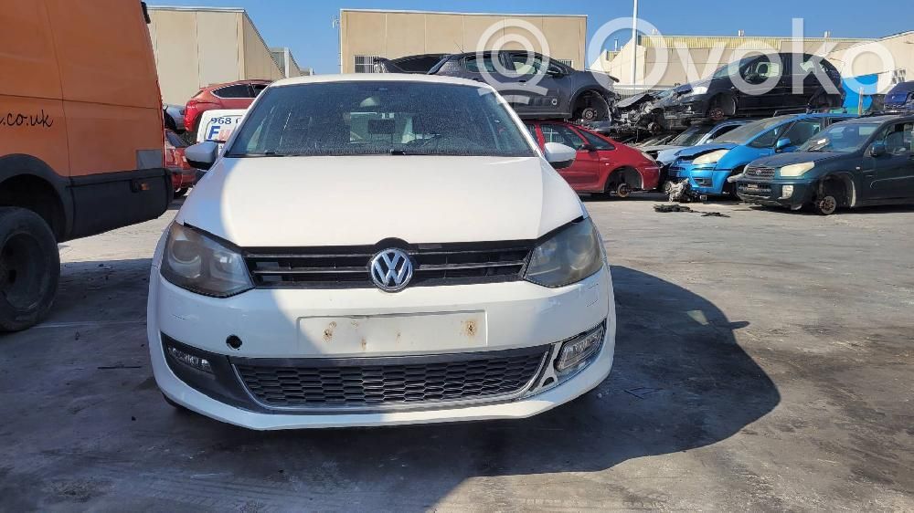 Polo V 6R Polo  17416202