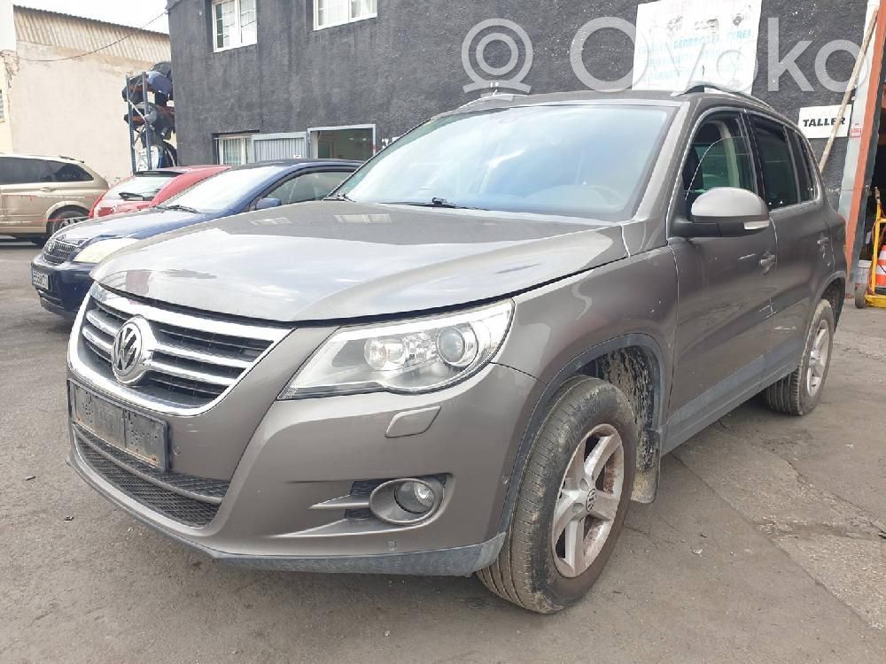 Tiguan Tiguan