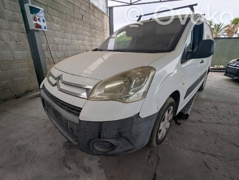 Berlingo Berlingo  113254