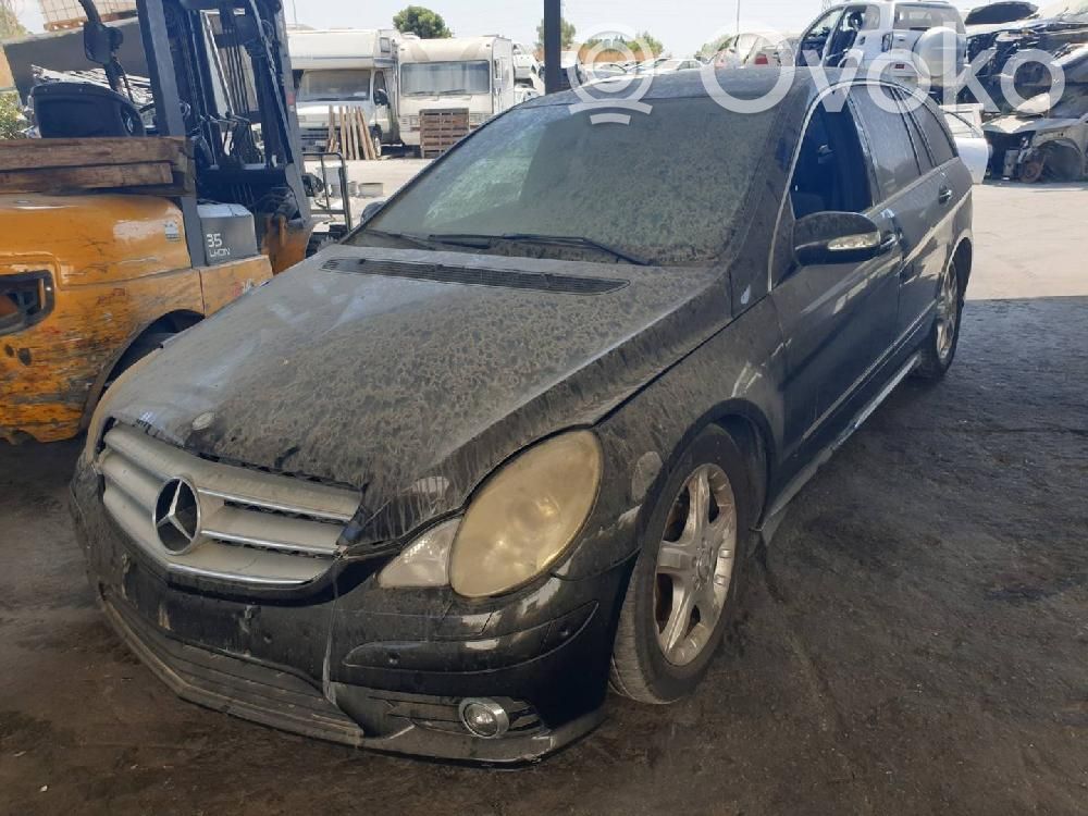R W251 R-class, AMG (W251)  A2518100410