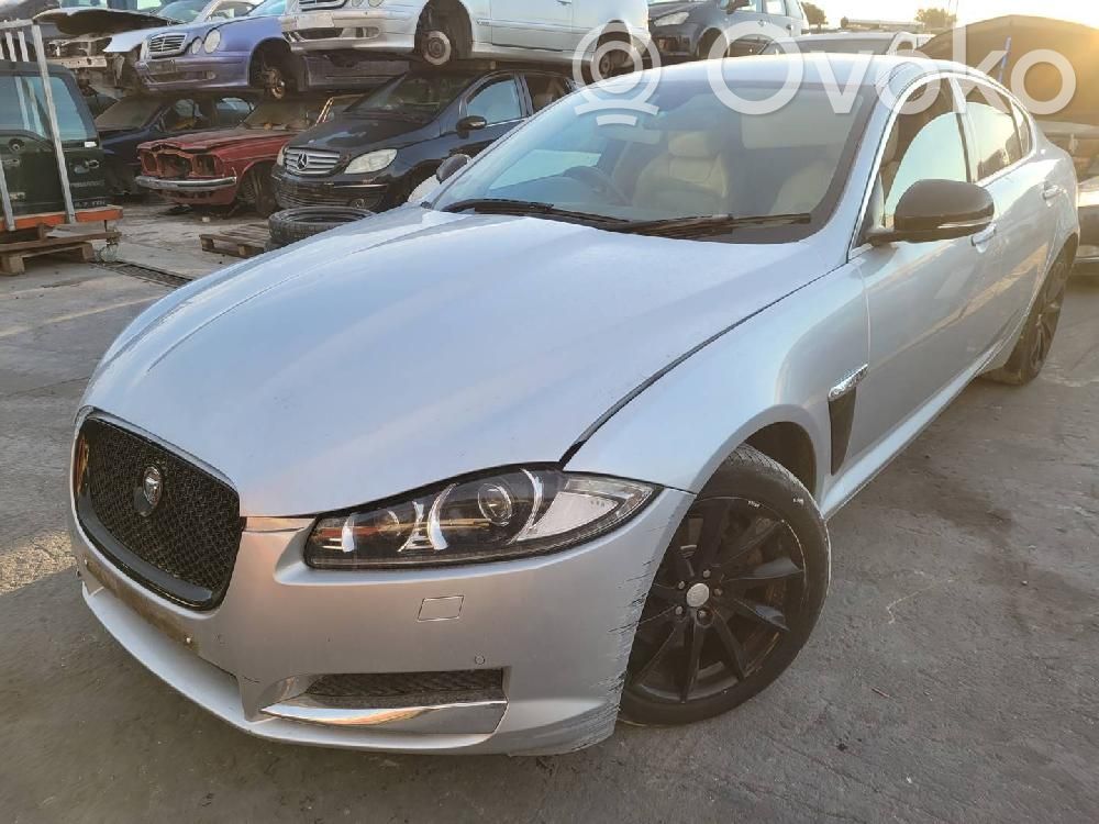 XF X250 XF  9X2Q9K546DB