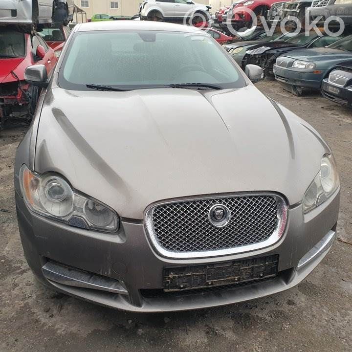 XF X250 XF  239304