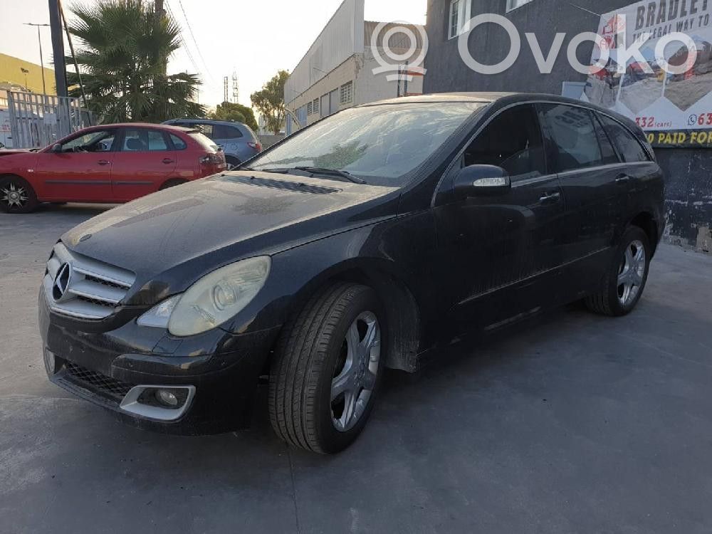R W251 R-class, AMG (W251)  0285001894
