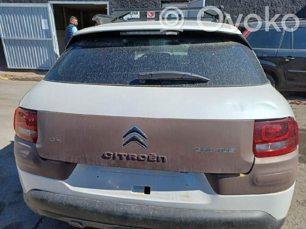 C4 Cactus C4 Picasso, Grand Picasso, Aircross, Cactus  9674252380