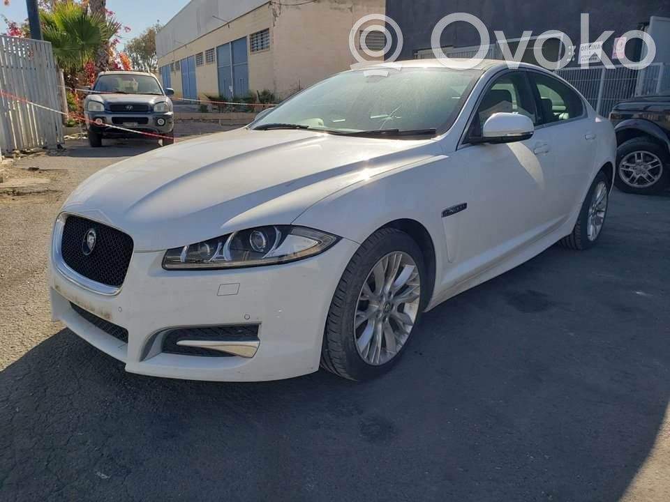 XF X250 XF  8W8317A553BB