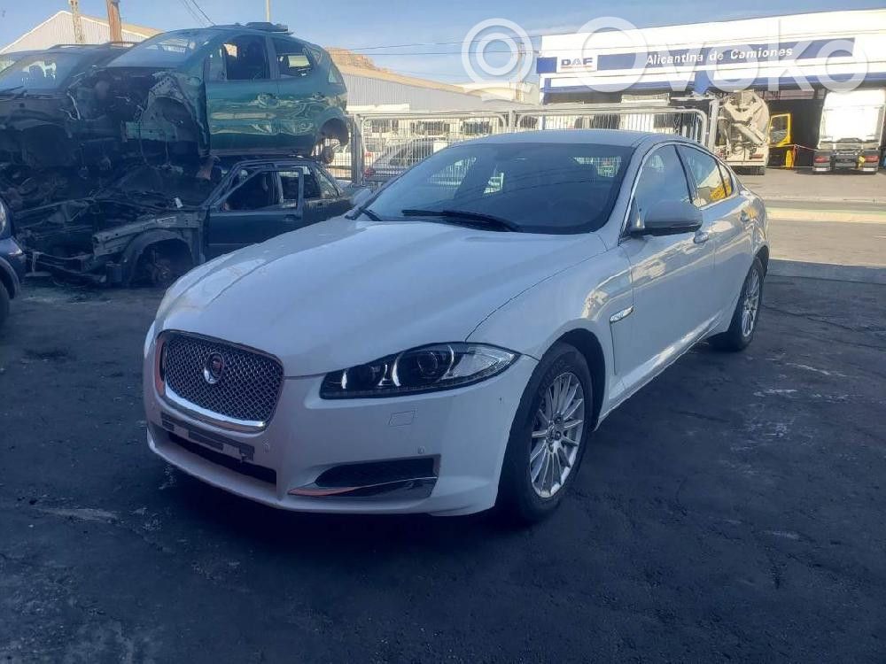 XF X250 XF  CX2314A375AE