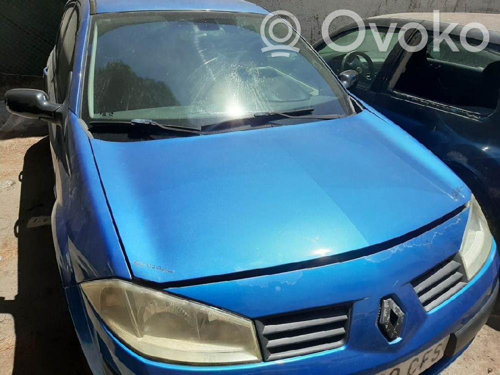 Megane II Megane  0265950335