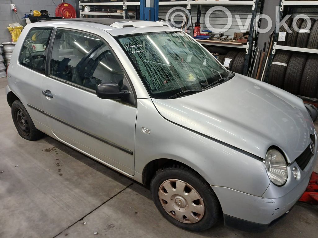 Lupo Lupo  1580178058643