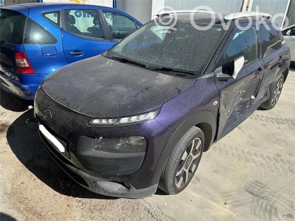 C4 Cactus C4 Picasso, Grand Picasso, Aircross, Cactus  9678058680
