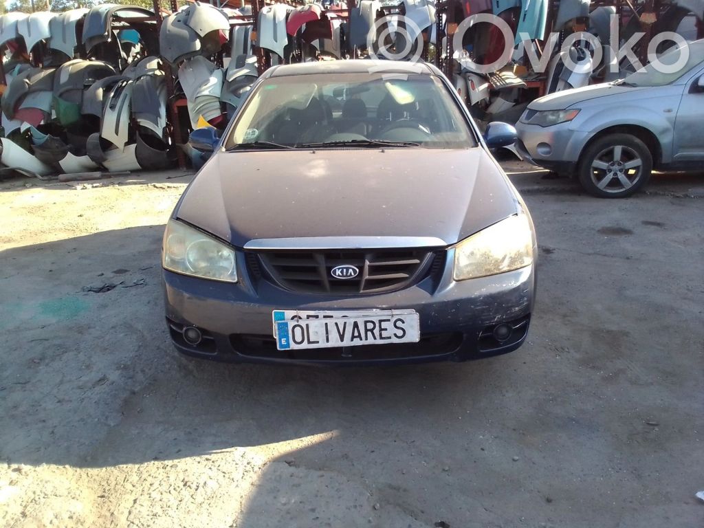 Cerato Cerato  819002FA00