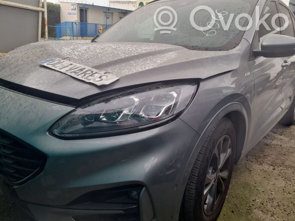 Kuga III Kuga  2446231
