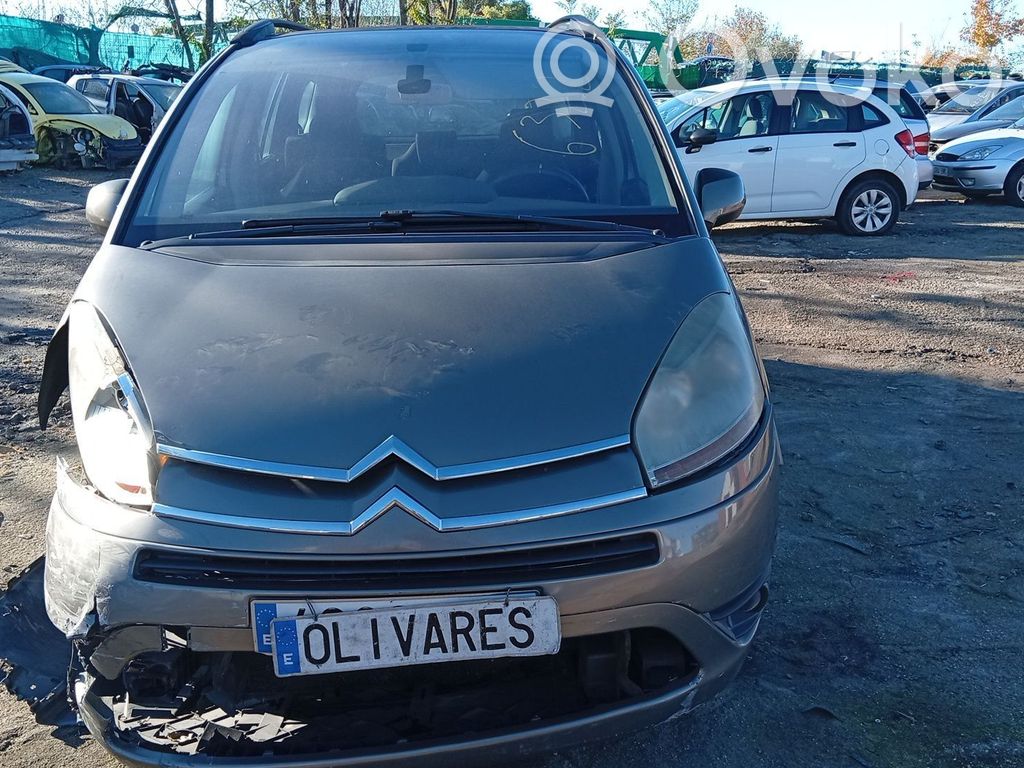 C4 Grand Picasso C4 Picasso, Grand Picasso, Aircross, Cactus  9774701