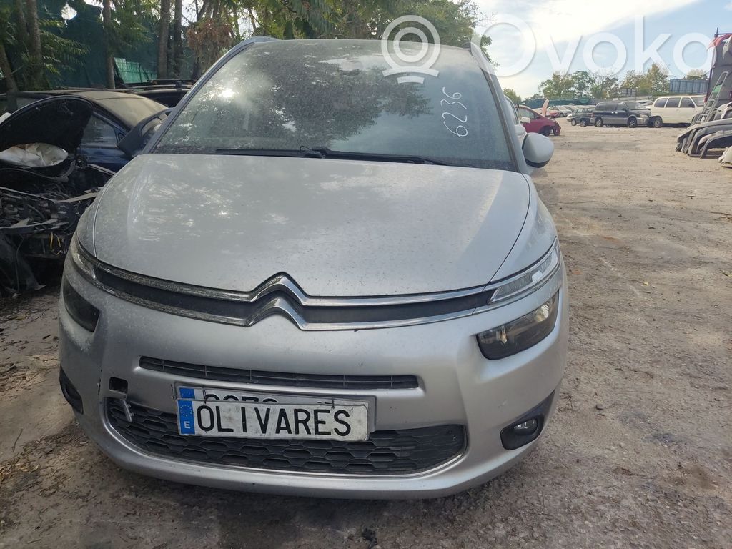 C4 Grand Picasso C4 Picasso, Grand Picasso, Aircross, Cactus  9800395680