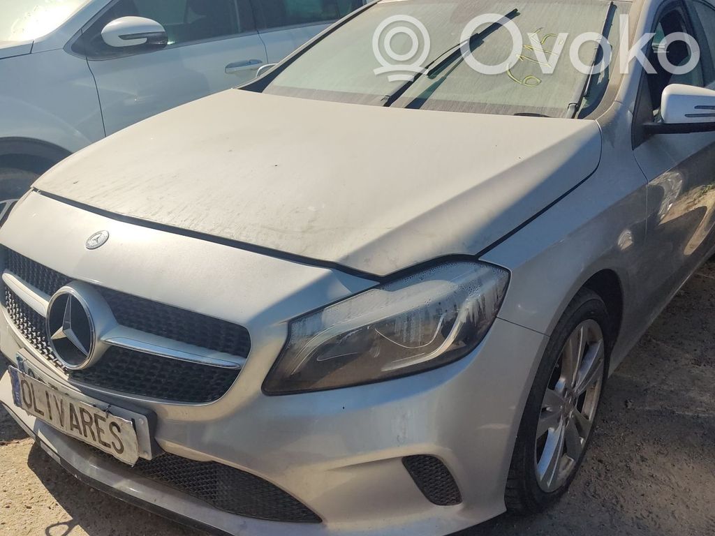 A W176 A-class  A1668210351