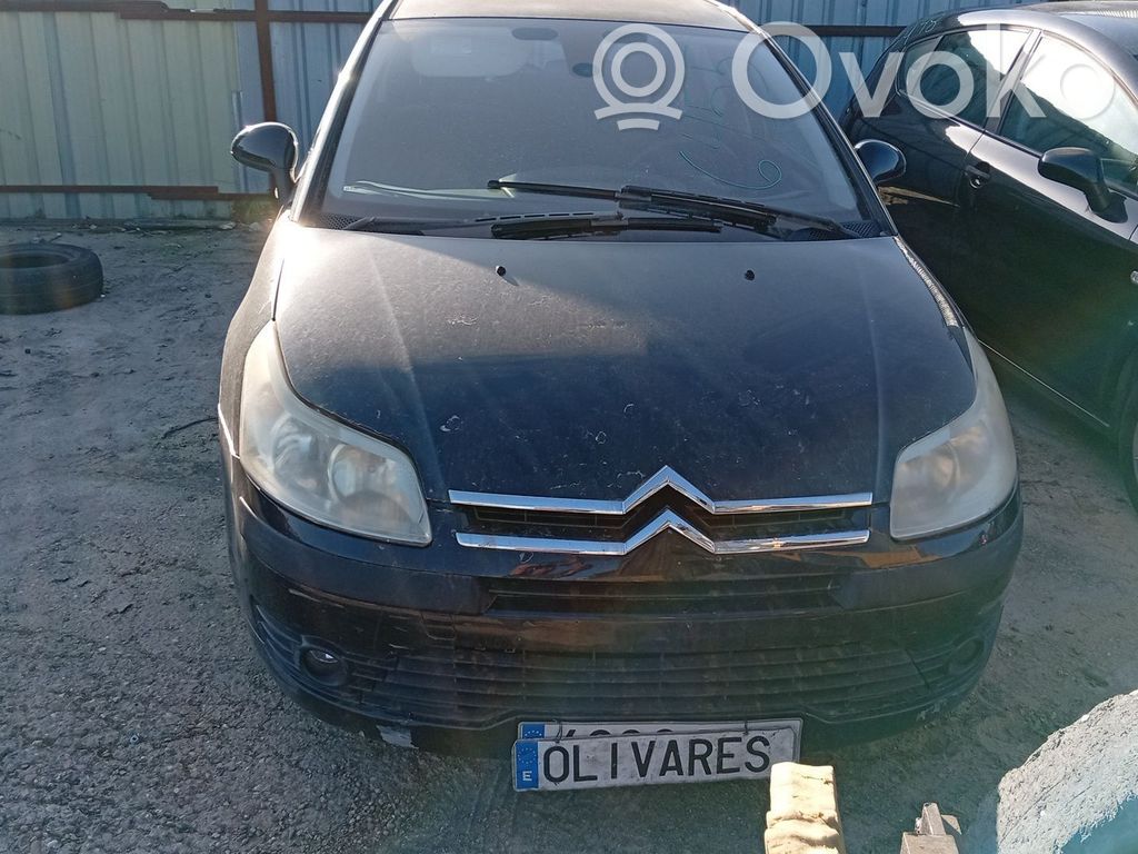 C4 I Picasso C4 Picasso, Grand Picasso, Aircross, Cactus  0341G2