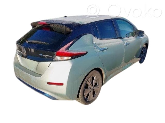 Leaf II (ZE1) Leaf