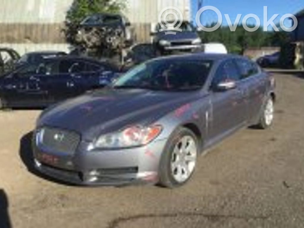XF XF  C2D19585E
