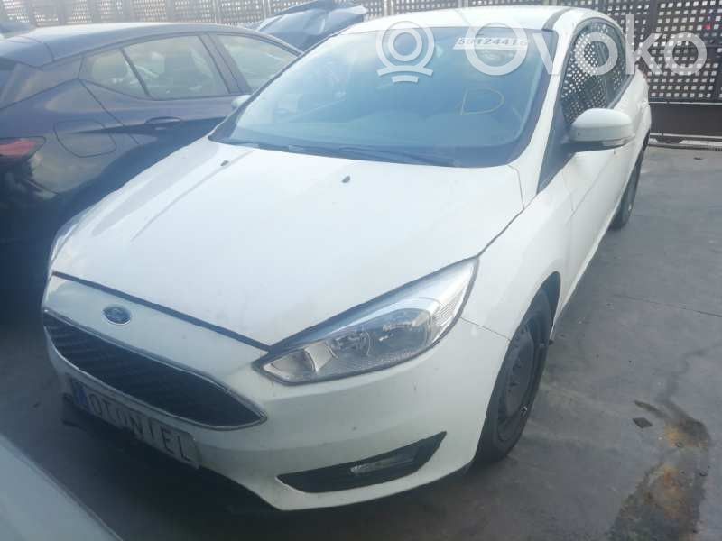 Focus Focus  AV619600BG