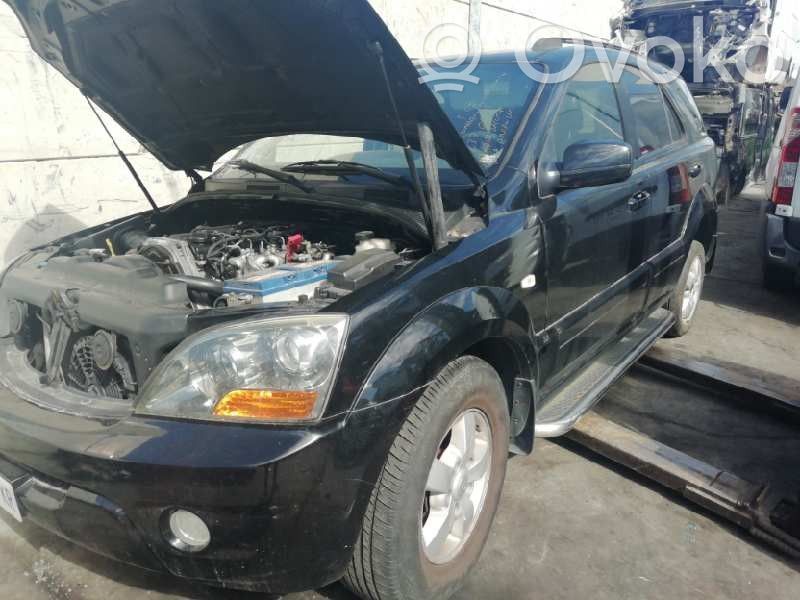 Sorento Sorento  491003E320