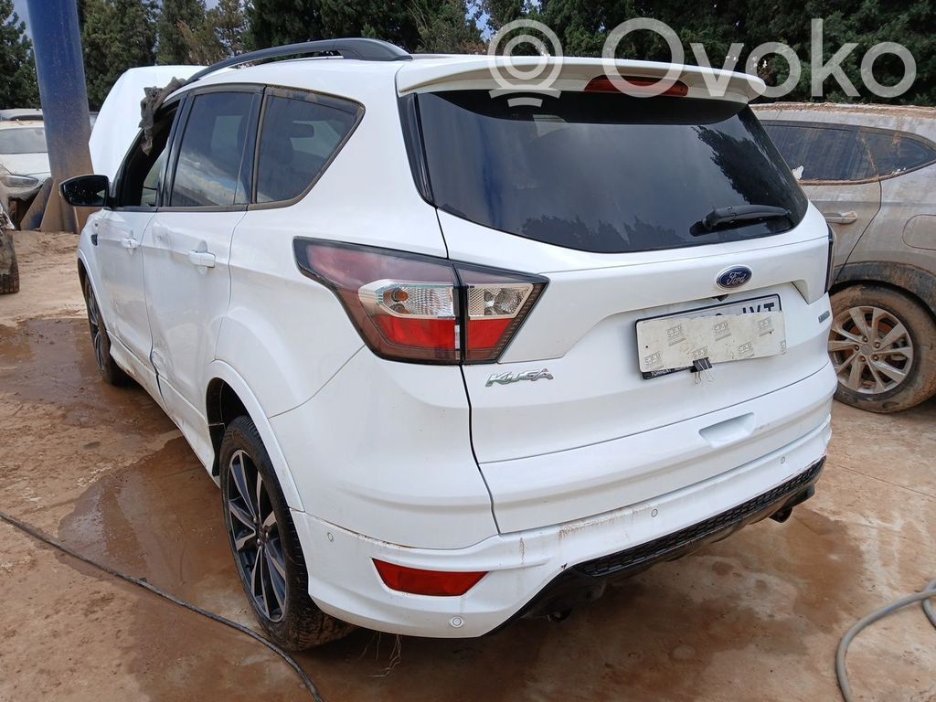 Kuga II Kuga  2344151