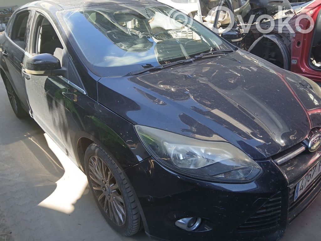 Focus Focus  1796141