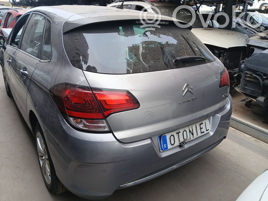 C4 Cactus C4 Picasso, Grand Picasso, Aircross, Cactus  0265252802