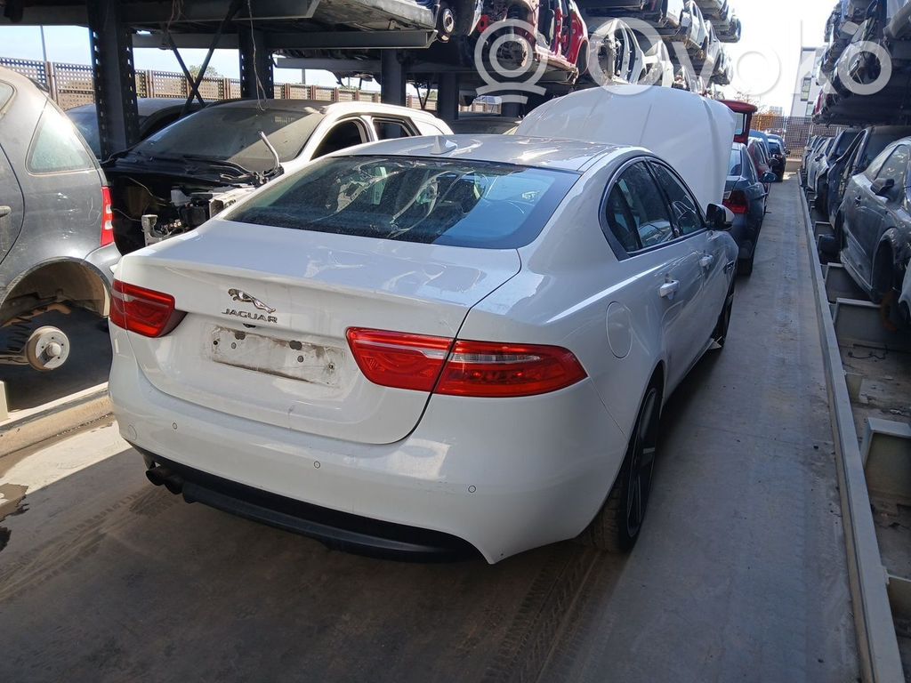 XE XE