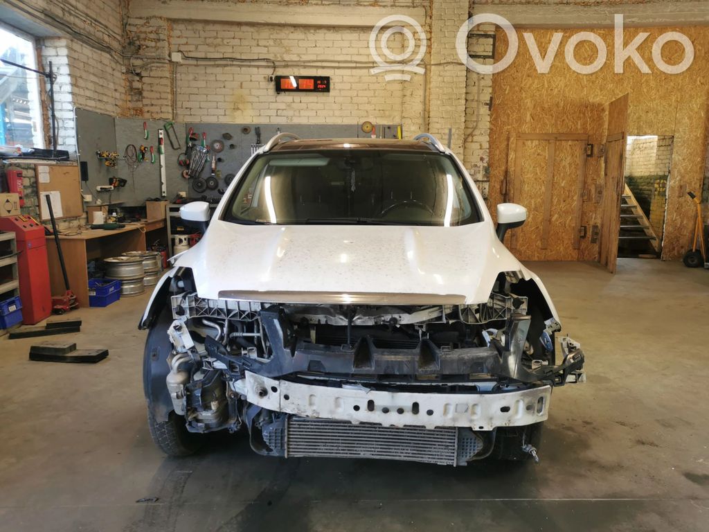 Kuga I Kuga  A046522