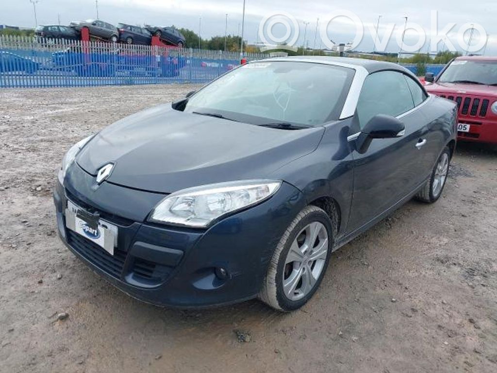 Megane III Megane  0258006990