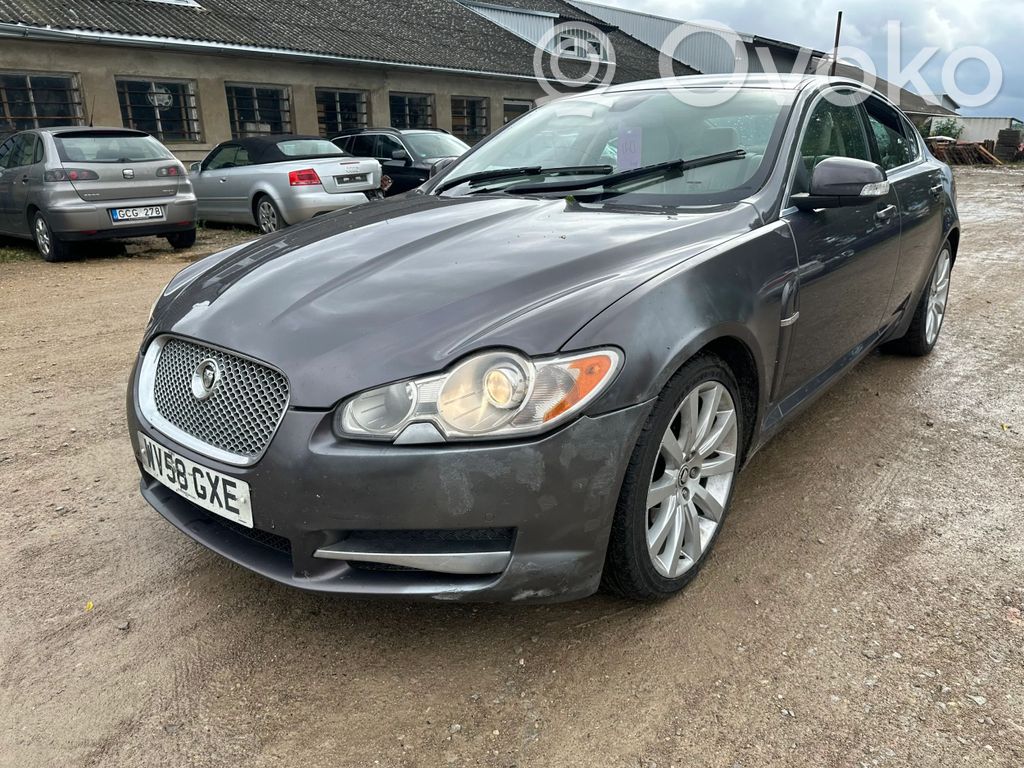 XF X250 XF  8X232C496AD