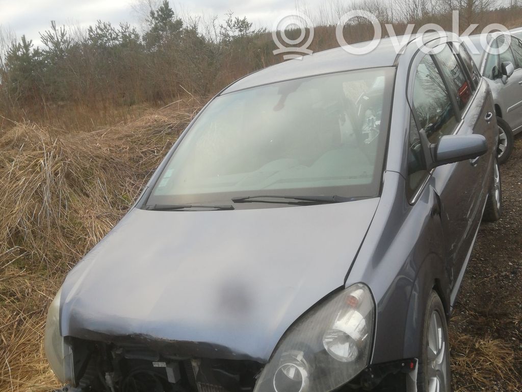 Zafira B Zafira  13267520