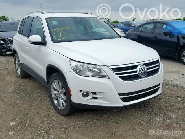 Tiguan Tiguan  03C906262AM