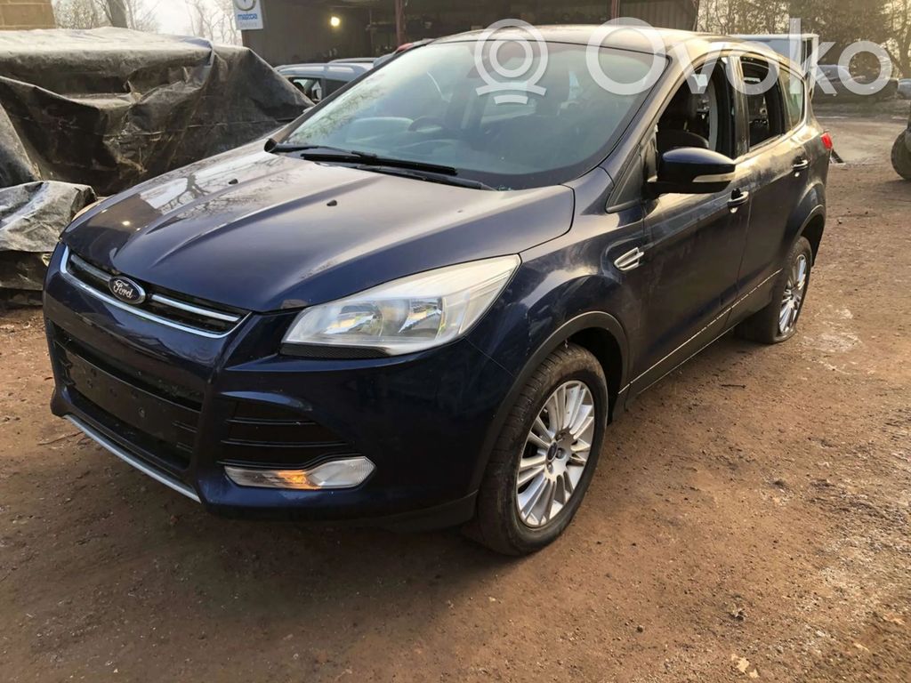 Kuga II Kuga  BM51A224A36DG