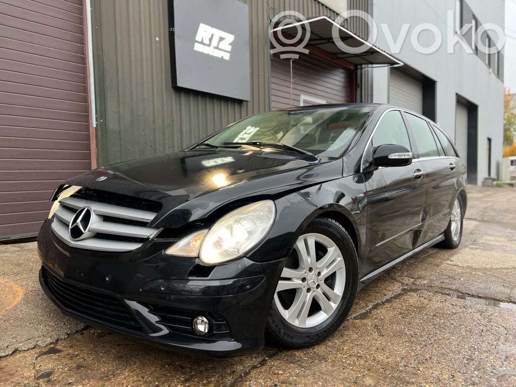 R W251 R-class, AMG (W251)  A2519290043