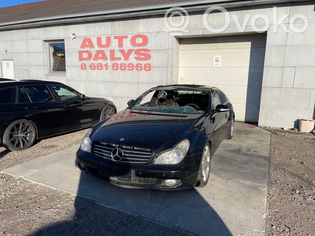CLS C219 CLS-class, AMG (W219,C218/X218)  A2198200726