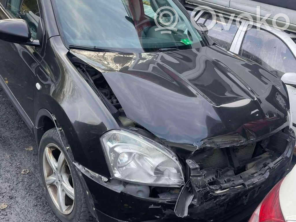 Qashqai+2 Qashqai, Qashqai+2  8813SD