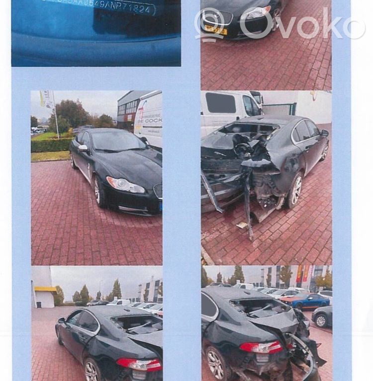 XF XF  4280004891