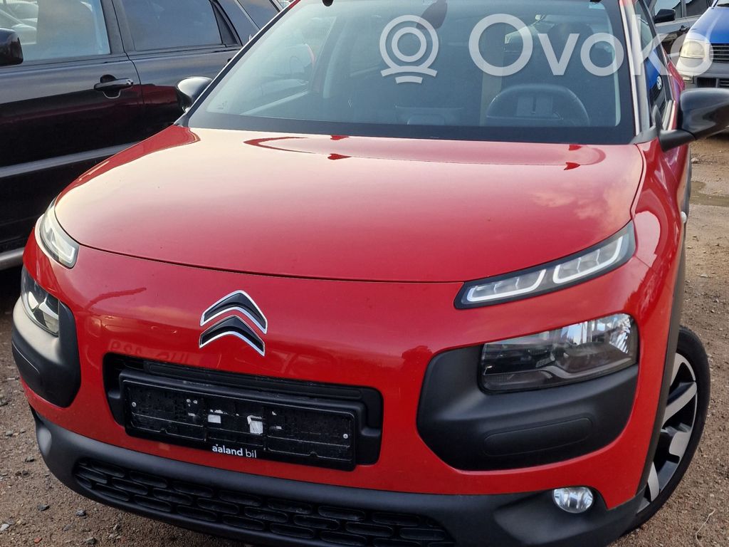 C4 Cactus C4 Picasso, Grand Picasso, Aircross, Cactus  0281030548