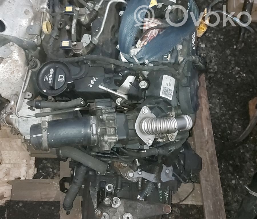 Astra K Astra  13503570