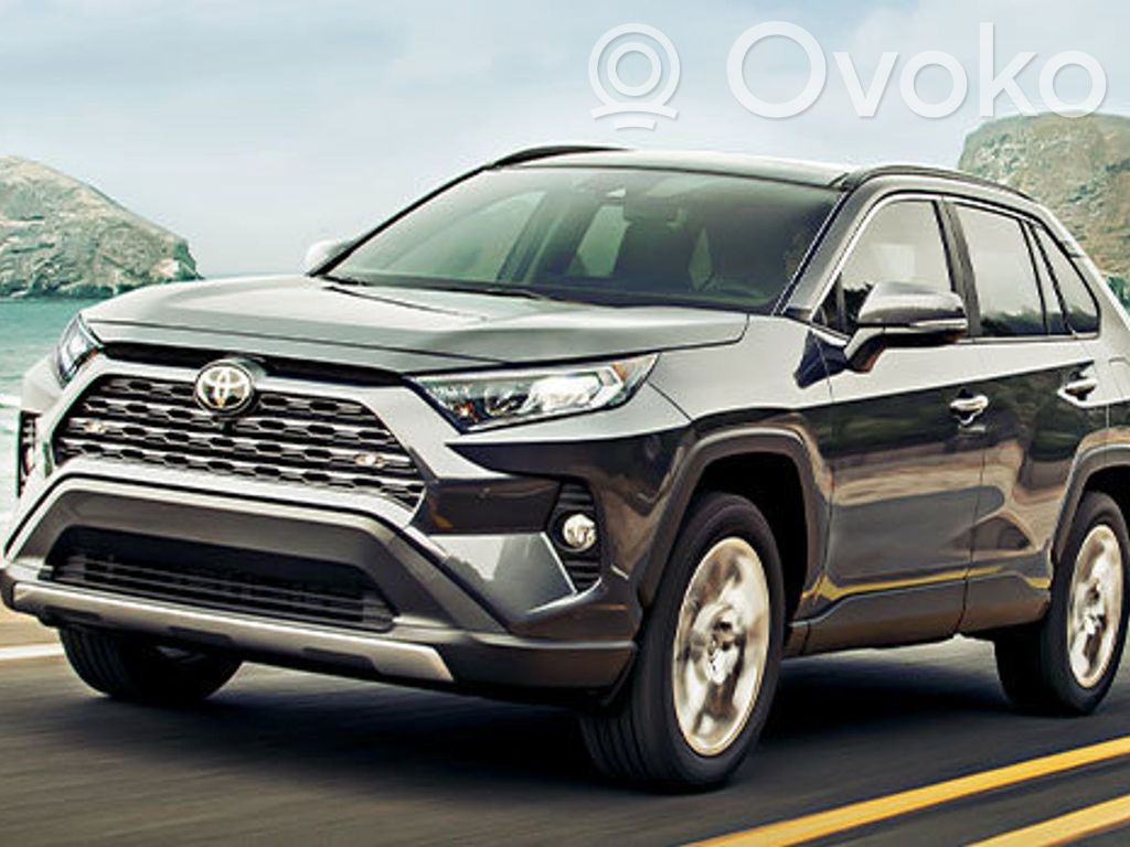 RAV 4 (XA50) RAV 4  5590042580