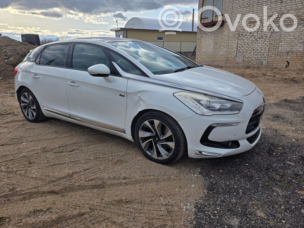 DS5 DS5