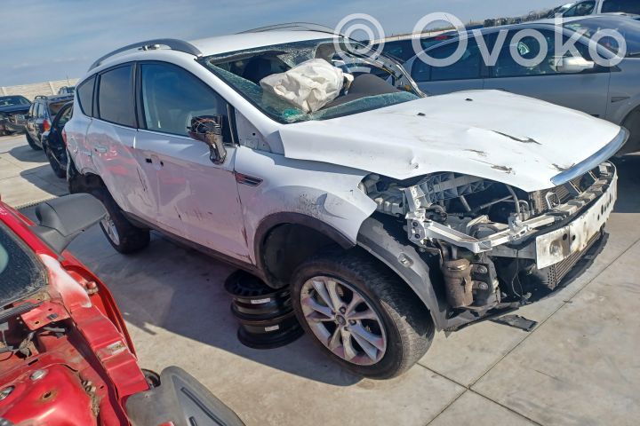 Kuga I Kuga