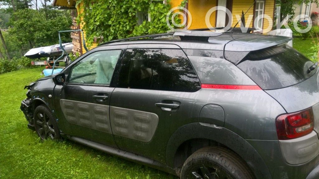 C4 Cactus C4 Picasso, Grand Picasso, Aircross, Cactus  22295662