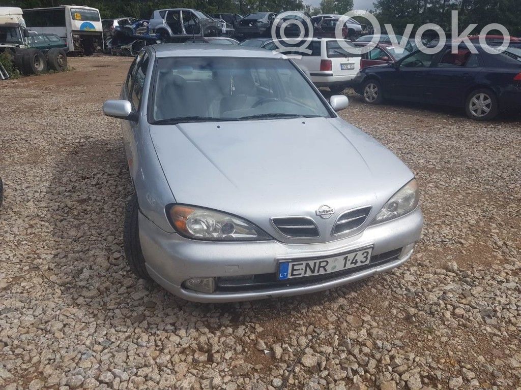 Primera Primera  2DA236017120